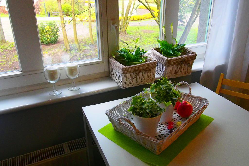 Appartement Kamienica Gorna 7 à Olsztyn  Extérieur photo